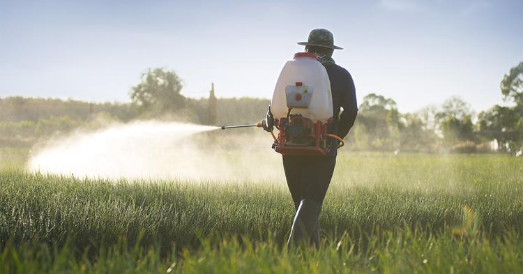 Protetor solar para plantas pode reduzir perdas de produtividade em lavouras com calor extremo