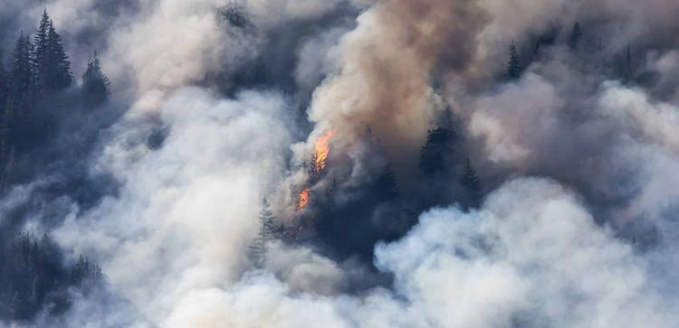 Sarthe: Incendie de forêt à l’est du département