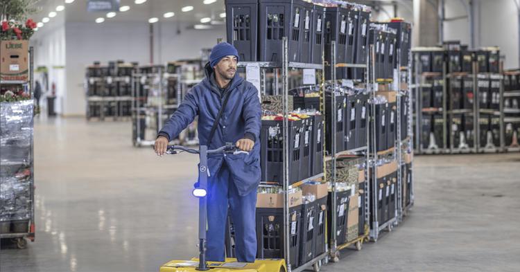 Cooperativa Cooperflora cresce 51% com automação de sistema de rastreabilidade total