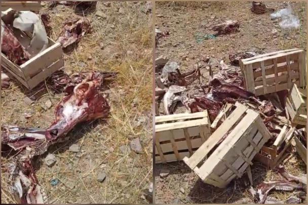 صادم.. العثور على عظام وجماجم مشبوهة بضواحي مراكش + ڤيديو