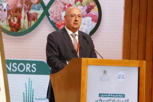 البرتغال تسعى لترسيخ مكانتها كحليف استراتيجي مع المغرب