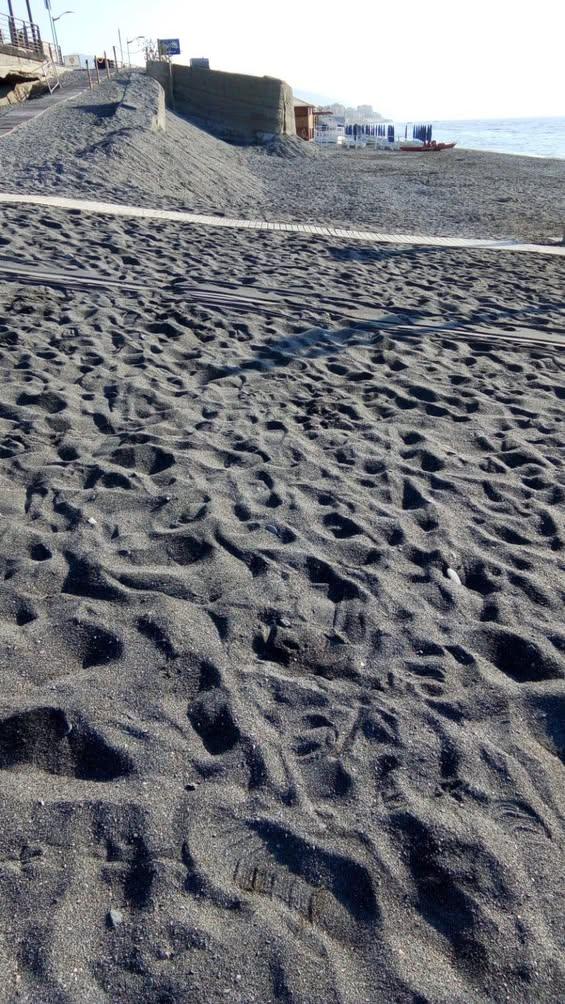 Dopo un bellissimo weekend riprende la settimana che ci porterà a luglio .. e continua l’attività ordinaria di pulizia d...