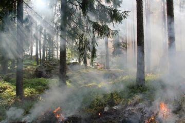 Incendi boschivi: prorogata sino al 31 agosto la fase di preallarme (codice arancione)