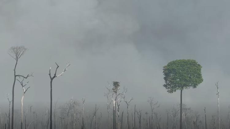 VÍDEO: fumaça de incêndio que já atingiu 15 mil hectares encobre cidades do norte de MT