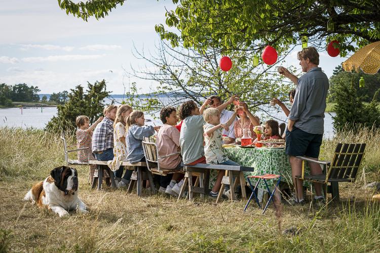 Ferien auf Saltkrokan - Geburtstagsfeier in den Schären