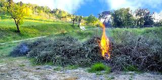 Ordinanza antincendio 2026: obblighi per i cittadini e divieti dal 15 maggio