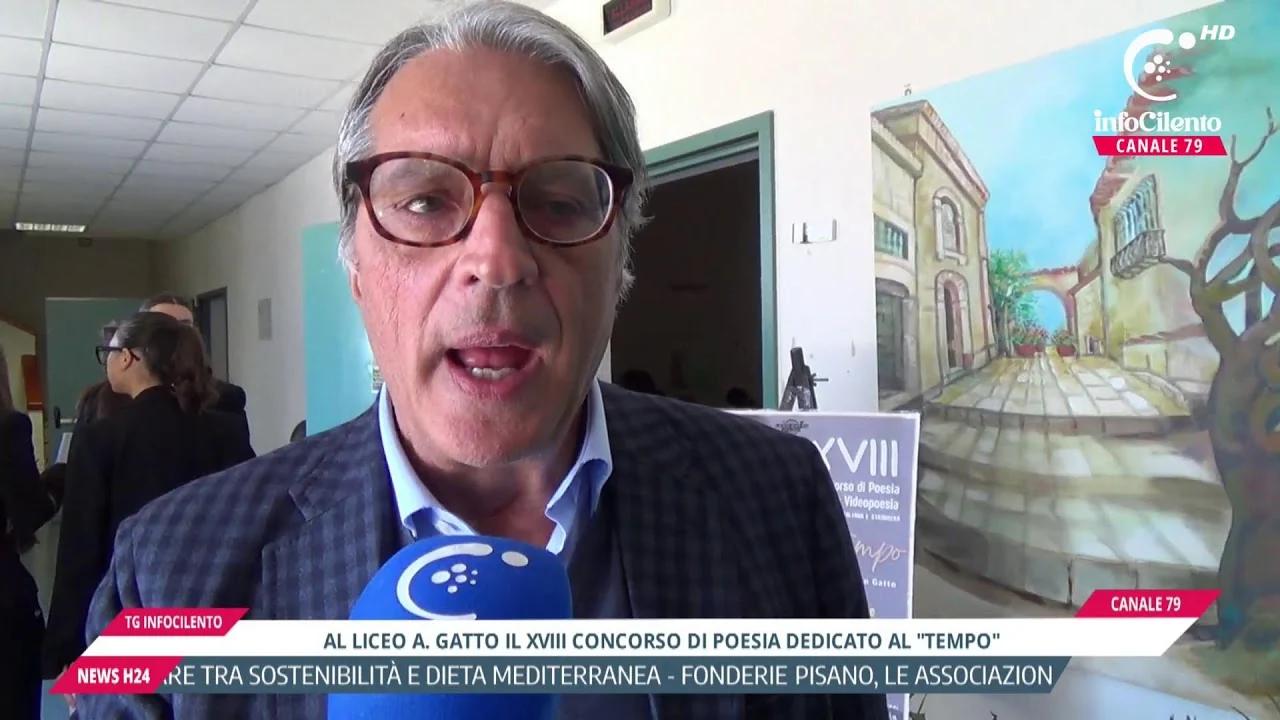 Tg InfoCilento 28 ottobre 2026, edizione delle 13:55