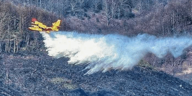 La Calabria assediata dagli incendi: quasi 200 interventi dei Vigili del fuoco in 24 ore