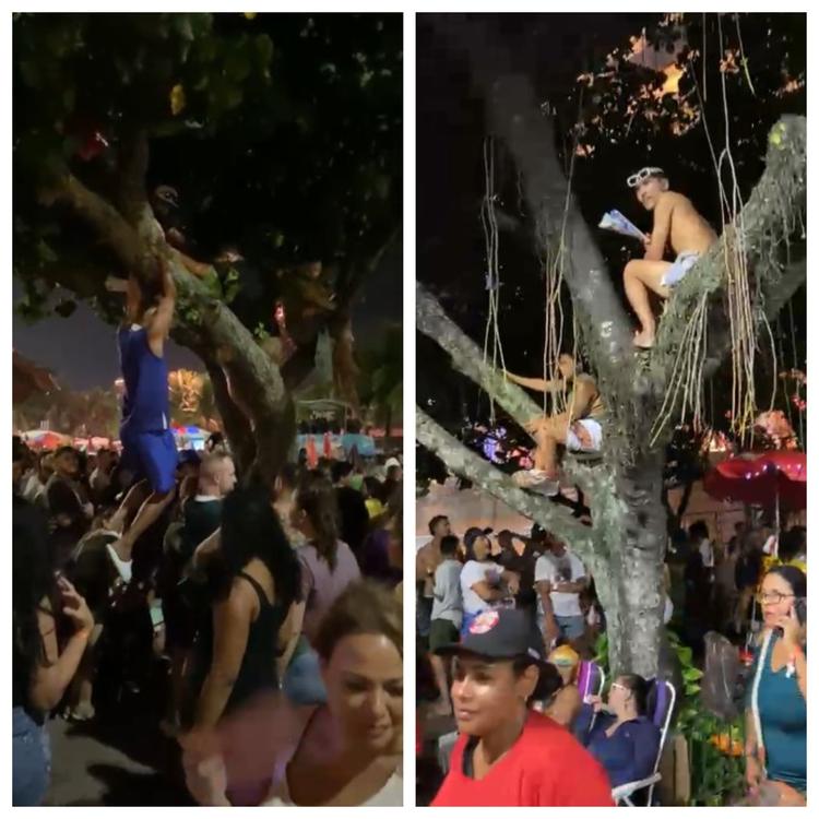Em busca de visão privilegiada, fãs sobem em árvores antes de show de Shakira no Rio
