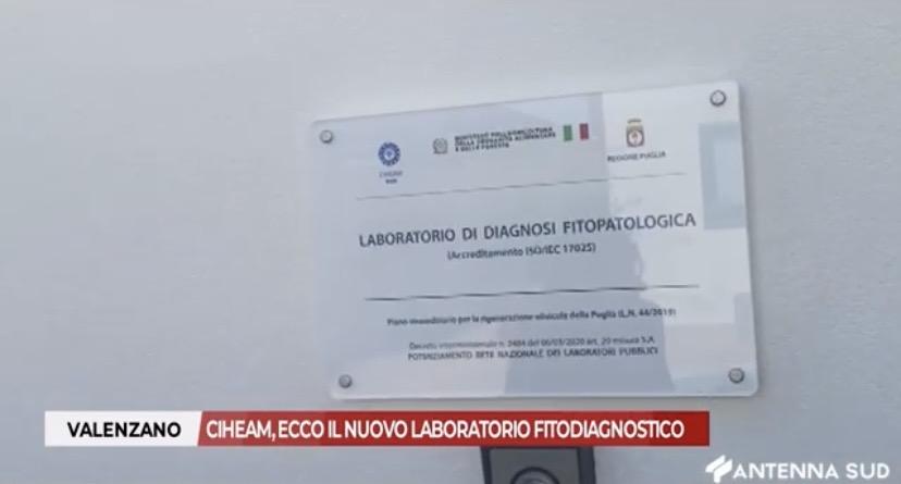 CIHEAM, a Valenzano nuovo laboratorio fitodiagnostico