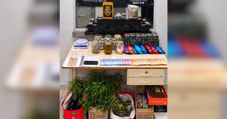 Plantação de maconha é localizada durante operação que apreendeu mais de 10 kg de drogas em Itapema&nbsp;