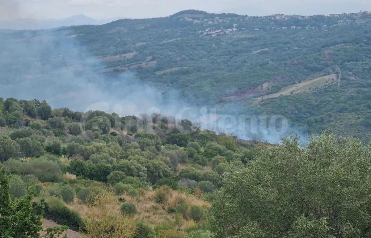 Incendio a San Nicola di Centola: bruciati quattro ettari di macchia