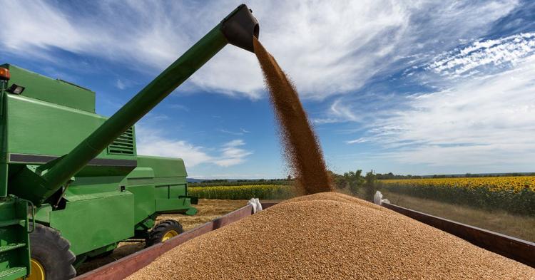 Brasil responde por cerca de 60% da expansão da soja nos últimos 20 anos