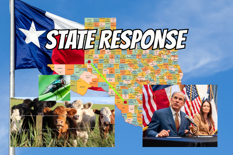 Screwworm Threat Moves Closer to South Plains; Andrews County Case Prompts Escalated State Response