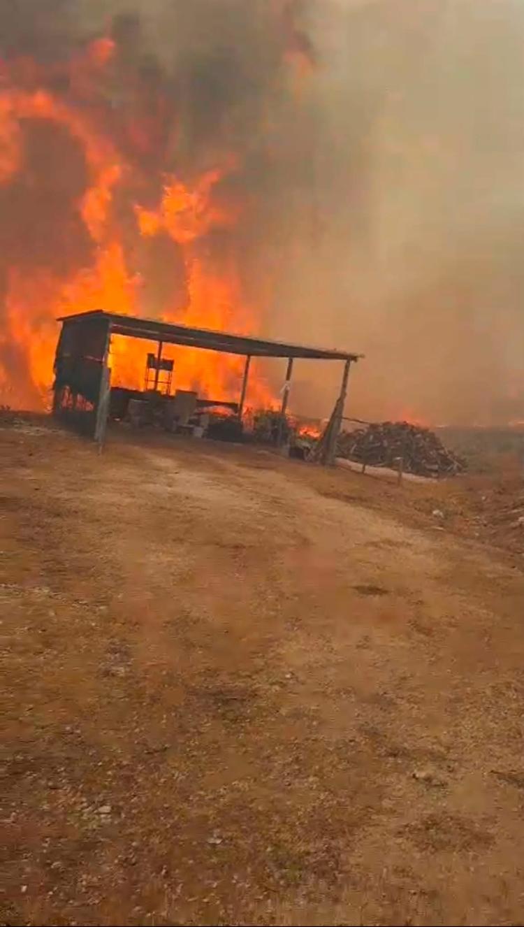 Incendio sul Gargano, il Centro Coordinamento dei Soccorsi monitora l’emergenza
