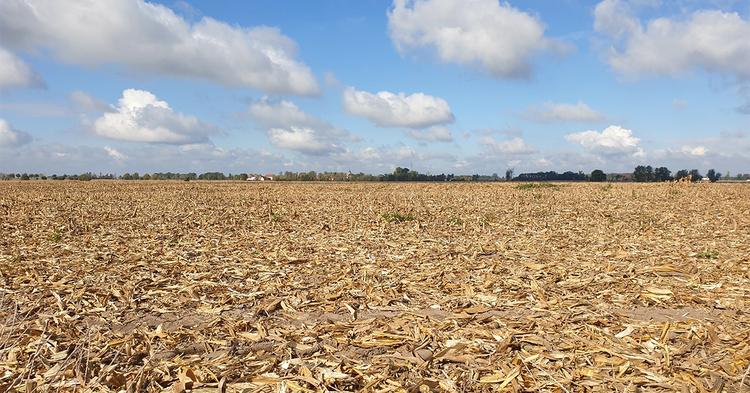Seca extrema avança no Brasil às vésperas de El Niño muito forte