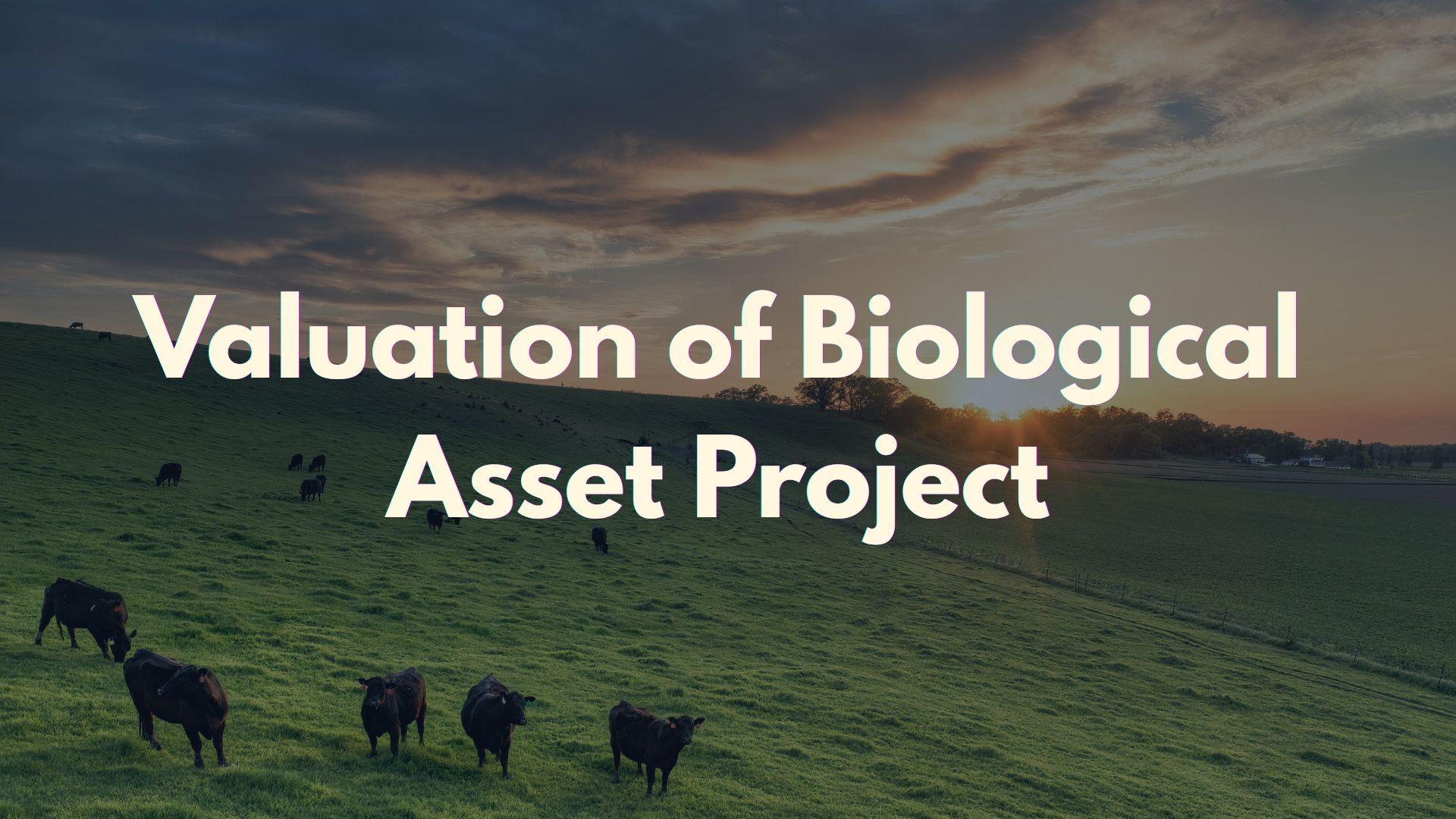 Valtech Completed a Project on Valuation of Biological Assets