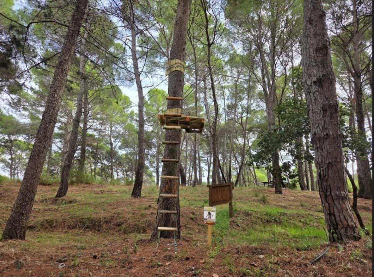 Nuovo parco avventura a Castellabate, via libera al progetto a Monte Licosa