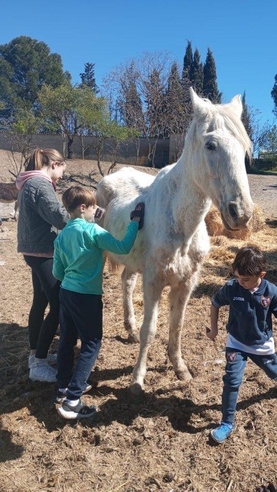 Gracias de nuevo a todos los que vinisteis el pasado 12 de marzo a nuestras jornadas de voluntariado. ¡Os esperamos en l...
