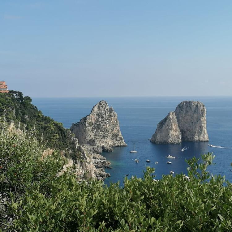 Le capre di Capri danneggiano la vegetazione. Scoppia la polemica