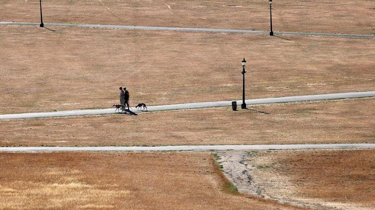 La extrema derecha británica invita a “disfrutar” las olas de calor que han traído sequía, incendios y descarrilamientos