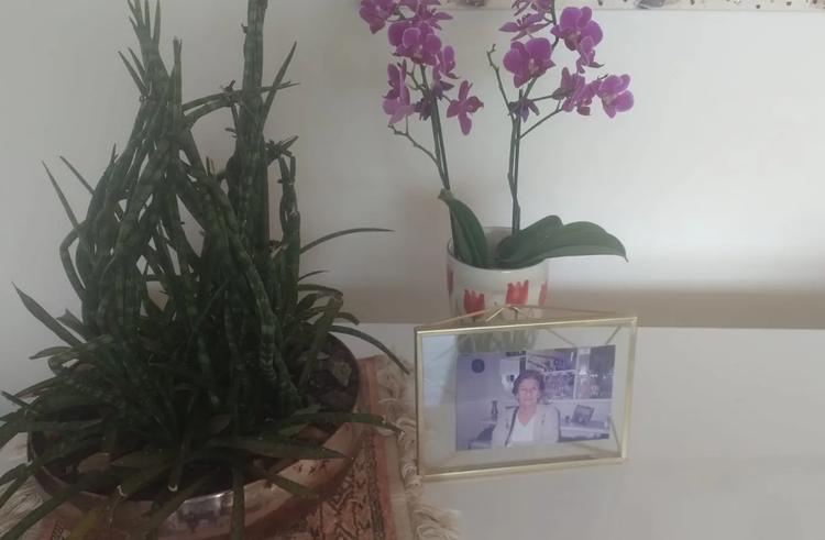 Dia de Finados: homenagens além dos cemitérios impulsionam venda de flores e setor projeta alta de 5,2%