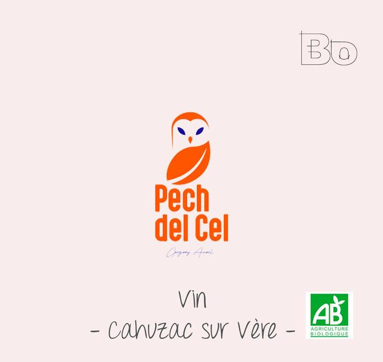 Domaine Pech Del Cel