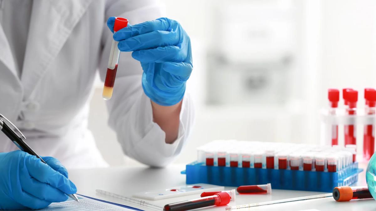 Sangue artificial &eacute; testado pela primeira vez em humanos
