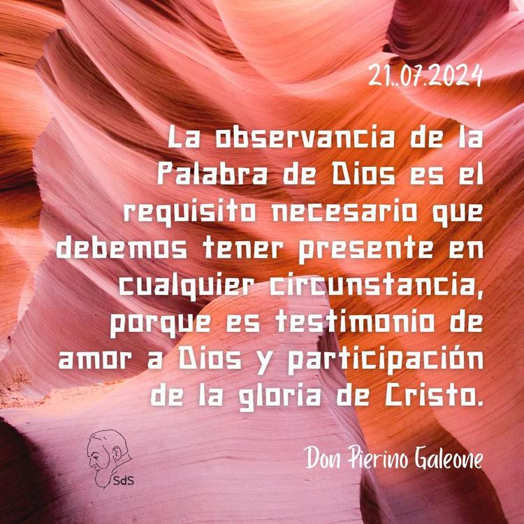 21.07.2024
La observancia de la Palabra de Dios es el requisito necesario que debemos tener presente en cualquier circunstancia, porque es testimonio de amor a Dios y participación de la gloria de Cristo.

Padre Pierino Galeone