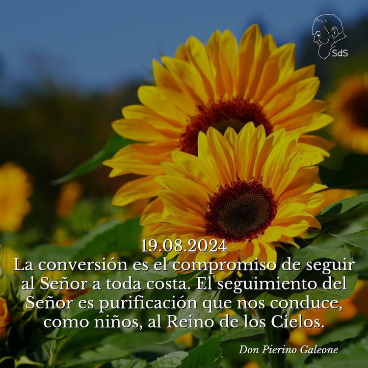 19.08.2024
La conversión es el compromiso de seguir al Señor a toda costa. El seguimiento del Señor es purificación que nos conduce, como niños, al Reino de los Cielos.

Padre Pierino Galeone