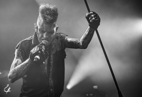 Demented Are Go, La Laiterie, 2026, Benoît GILBERT