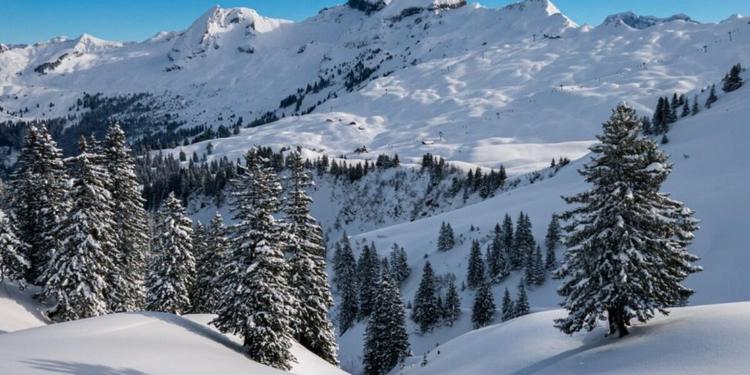 Tragedia sul Gran Paradiso: tre alpinisti perdono la vita durante un'escursione