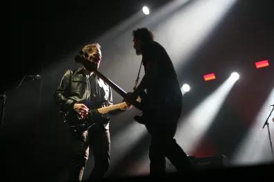 dogstar (65)