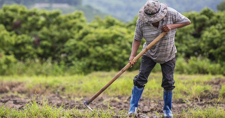 Agronegócio bate recorde com 28,4 mi de trabalhadores no segundo trimestre