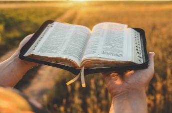 Proclamando palabras de victoria