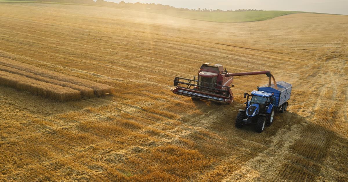 Cooperativas propõem Plano Safra de R$ 674 bilhões e defendem mais crédito para o agro