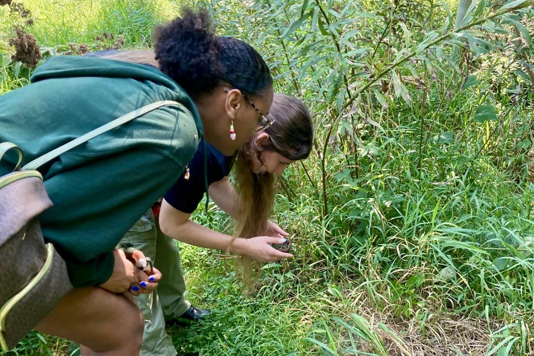 Penn State Berks and Berks Nature coordinate City Nature Challenge