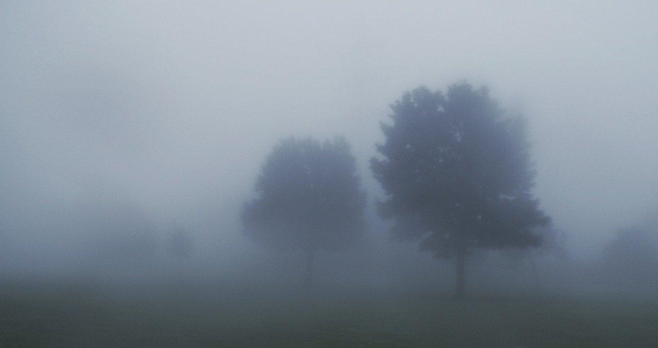 Météo : un épais brouillard signalé ce vendredi matin, prudence sur les routes