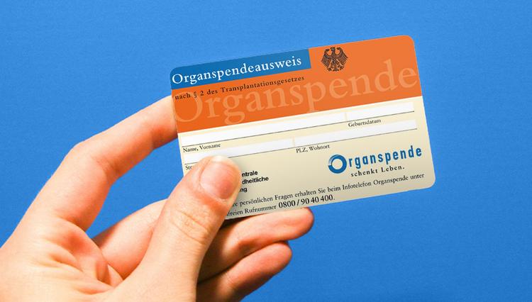 Organspende: Ja oder nein? Eine fundierte Entscheidung treffen