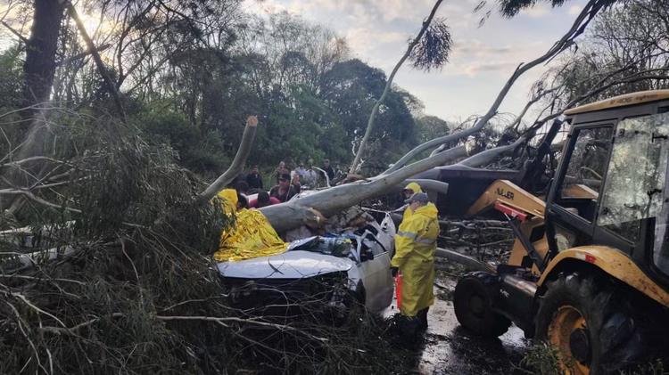 Árvore cai sobre carro durante chuva forte e deixa dois feridos em rodovia no Norte do RS