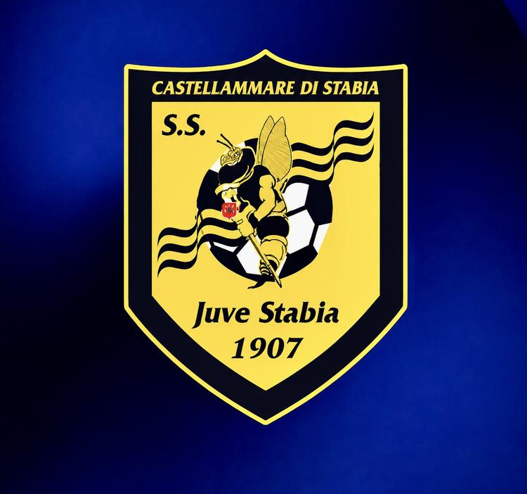 Serie B, Juve Stabia, tutto rinviato: verdetto sul futuro arriverà il 10 giugno