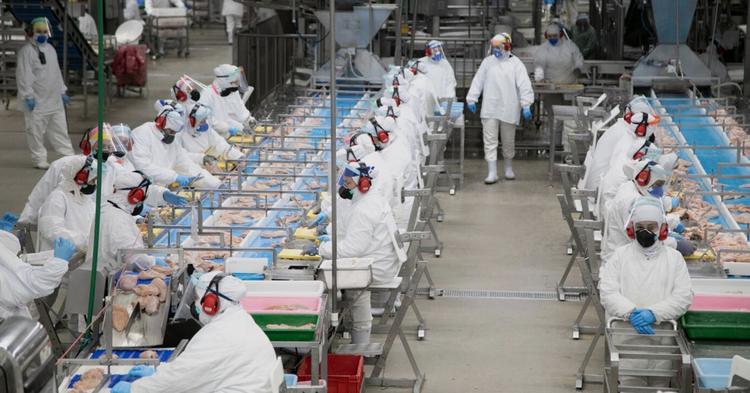 Cooperativa Lar projeta faturamento acima de R$ 24 bilhões e destaca desafios do setor em 2026