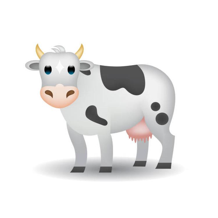 "How many cows am I worth?"
