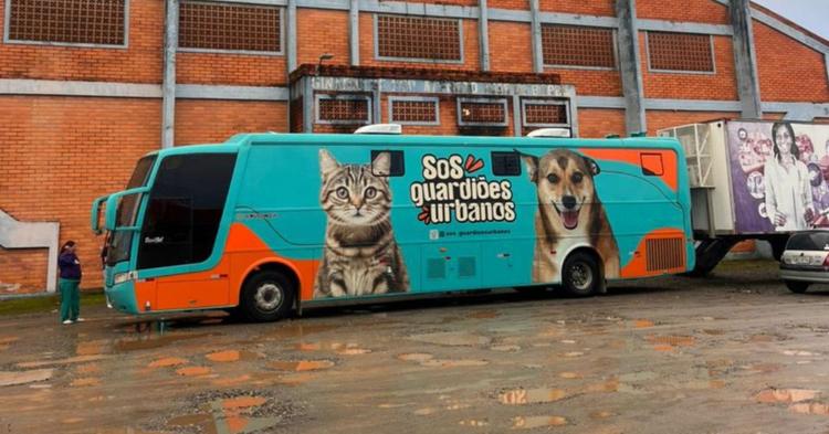 Mutirão de castração em Camboriú atende cães e gatos entre os dias 27 e 30 de maio&nbsp;