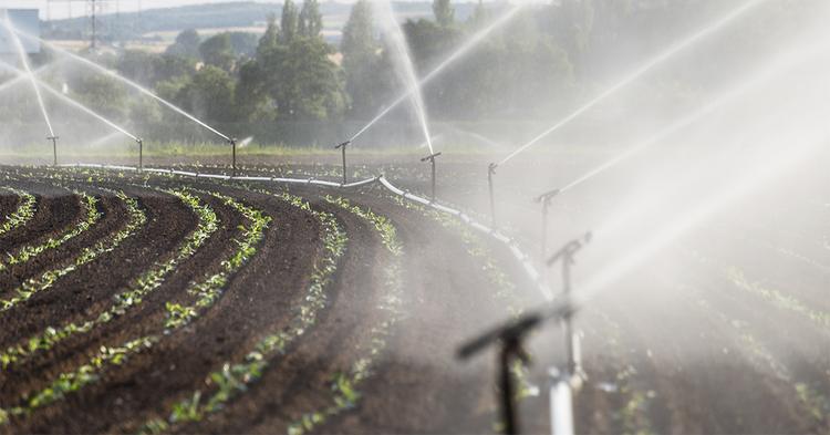 Mudanças climáticas aumentam necessidade de irrigação no campo brasileiro
