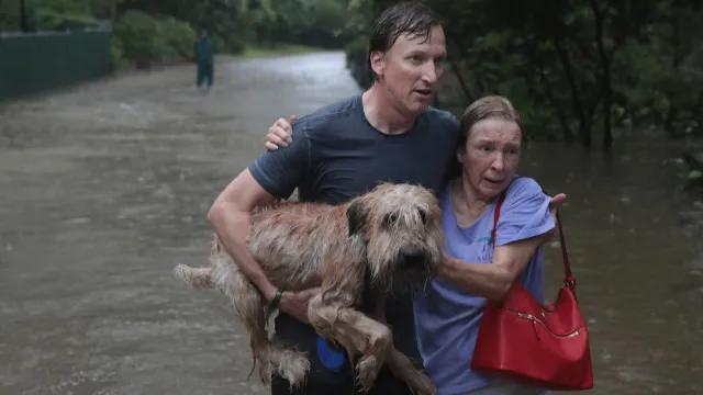 Chuva e ventos fortes: Como se preparar para temporais