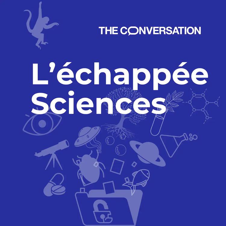 Podcast : Notre cerveau dans tous ses états (mentaux) — The Conversation