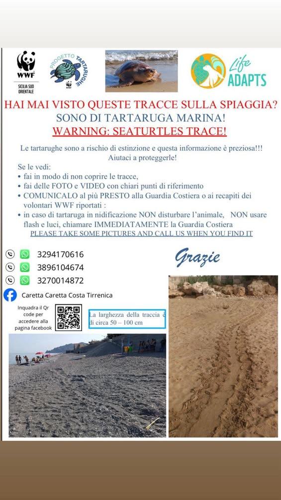 🐢 ATTENZIONE: PRESENZA DI TRACCE DI TARTARUGA MARINA SULLE NOSTRE SPIAGGE 🌊 Negli ultimi anni abbiamo assistito sempre...