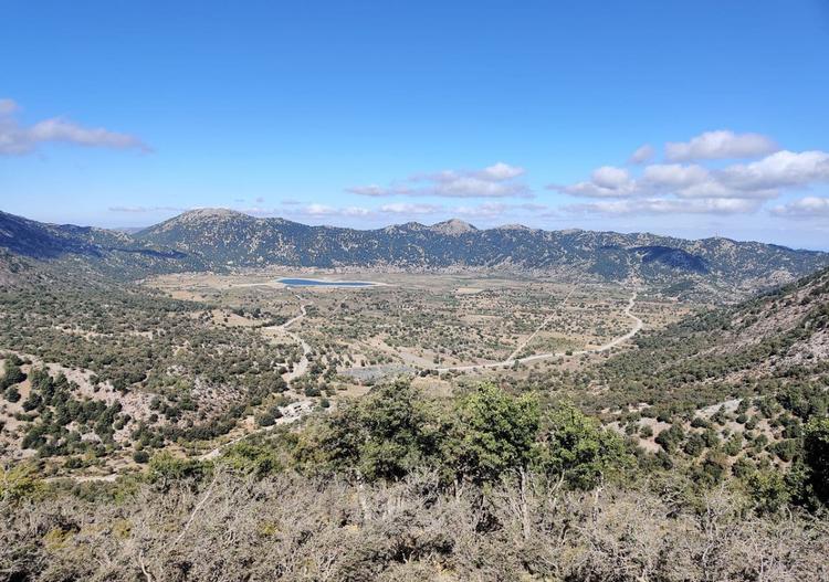 Type-locality of P. papaleonei sp. nov. (Greece, Crete, Omalos plateau)