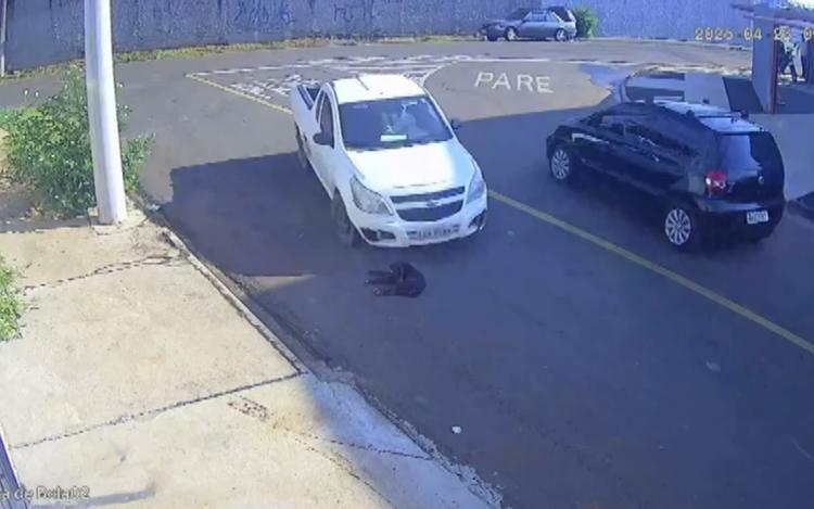 Motorista atropela cão, vai embora sem prestar socorro e animal morre em Franca; polícia investiga